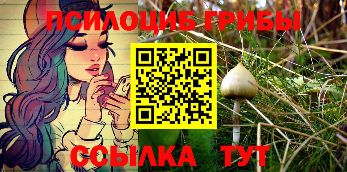 Псилоцибиновые грибы Psilocybe Керчь