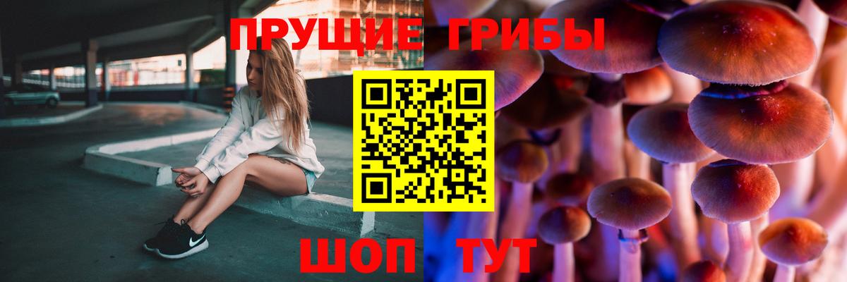 Галлюциногенные грибы мухоморы  магазин  наркотиков  Керчь  Вход с VPN 